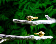 Load image into Gallery viewer, Into the Woods Bracelet | Bracelet for Women | Crafted in 925 Sterling Silver